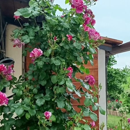 Colle Perazzoni Daire Fiano Romano Dış mekan fotoğraf