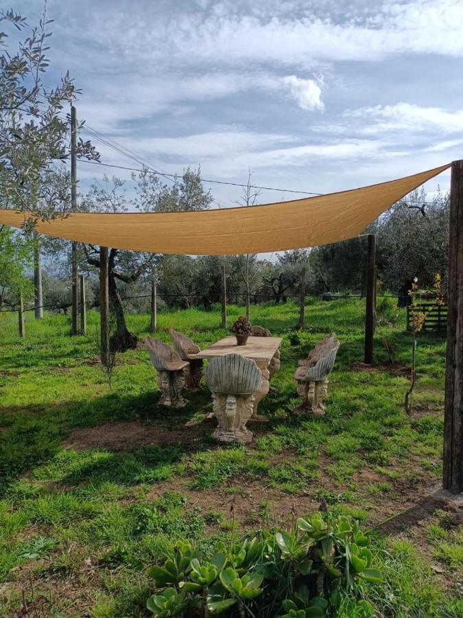Colle Perazzoni Daire Fiano Romano Dış mekan fotoğraf
