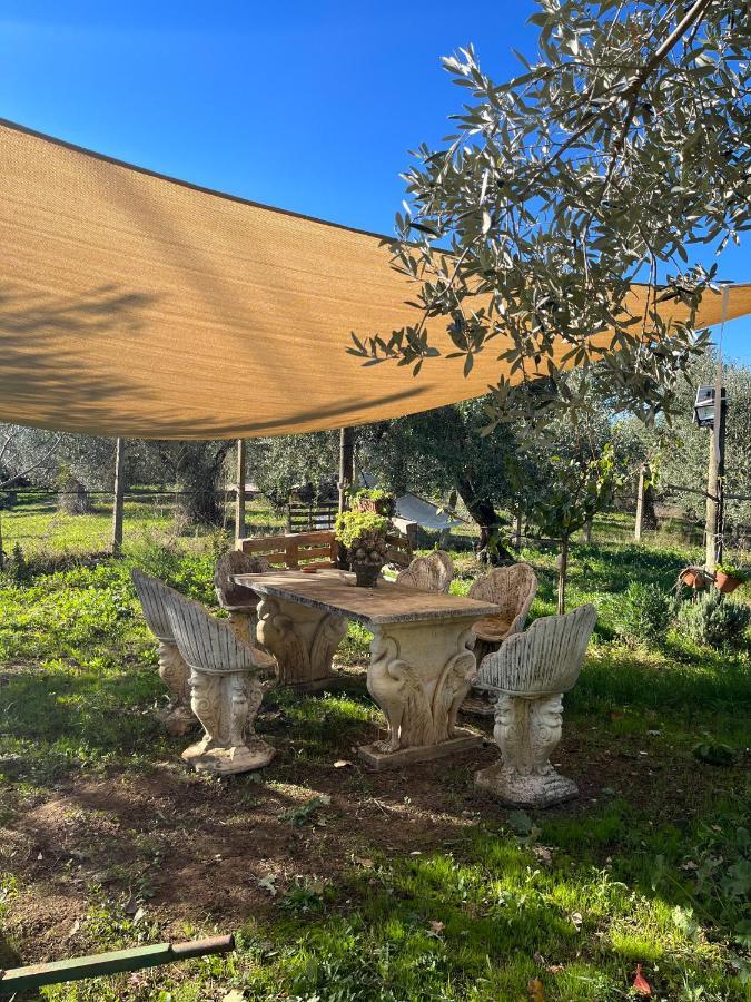 Colle Perazzoni Daire Fiano Romano Dış mekan fotoğraf