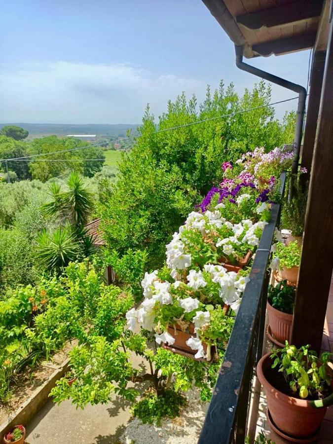 Colle Perazzoni Daire Fiano Romano Dış mekan fotoğraf