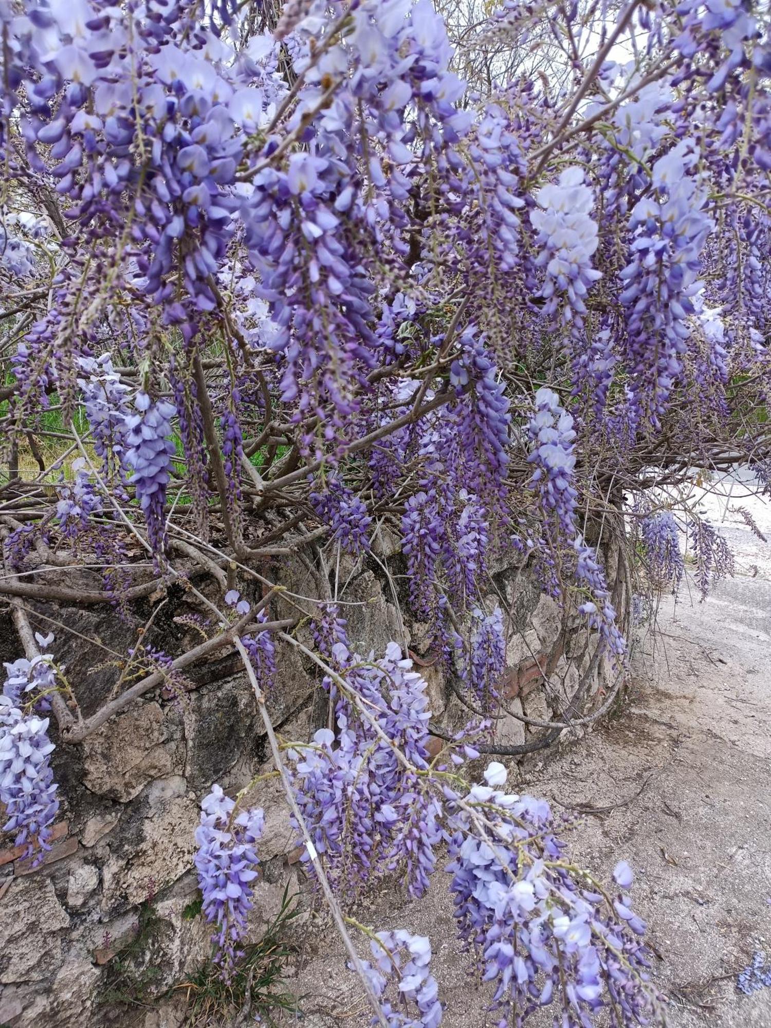 Colle Perazzoni Daire Fiano Romano Dış mekan fotoğraf