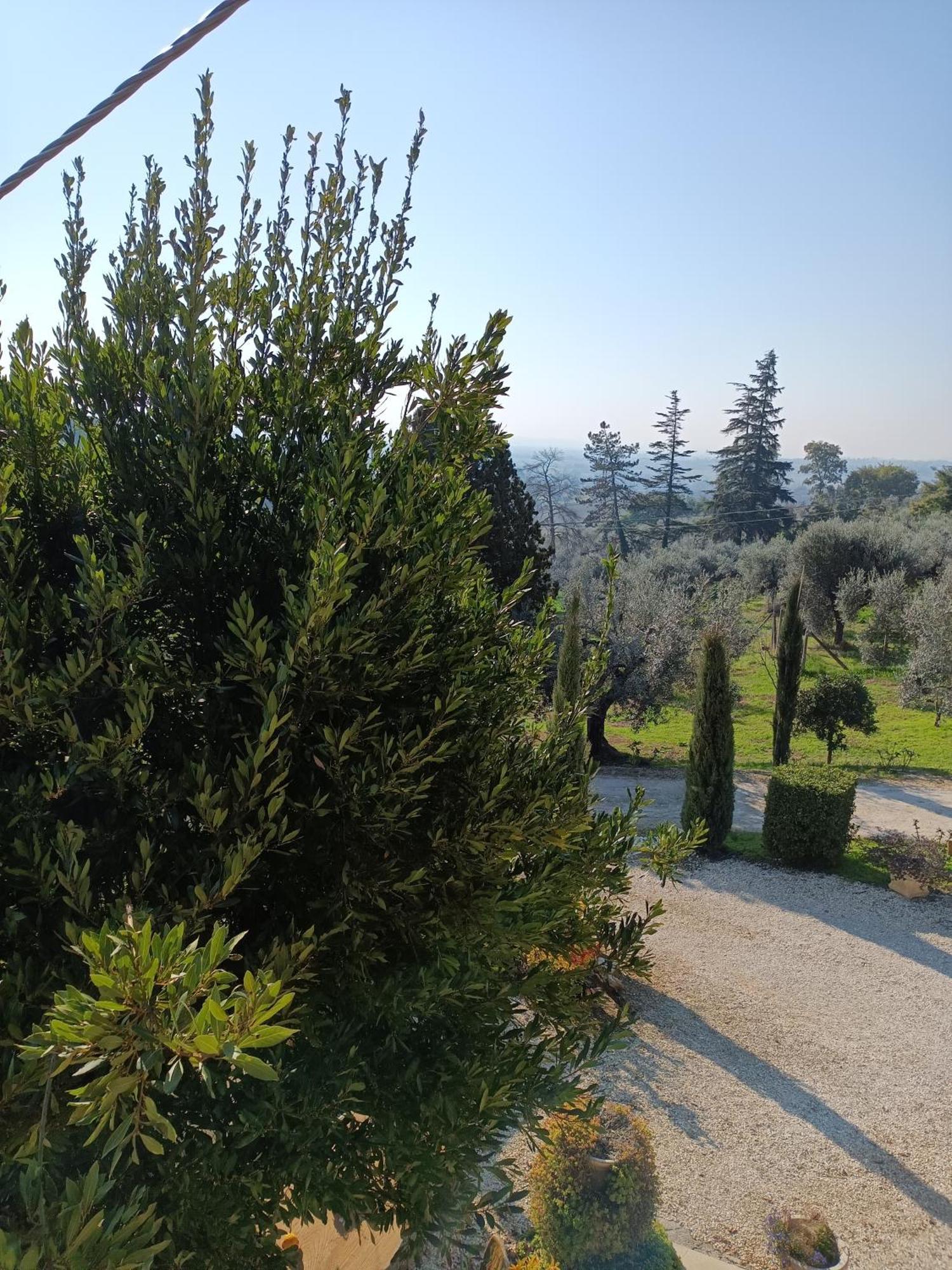 Colle Perazzoni Daire Fiano Romano Dış mekan fotoğraf