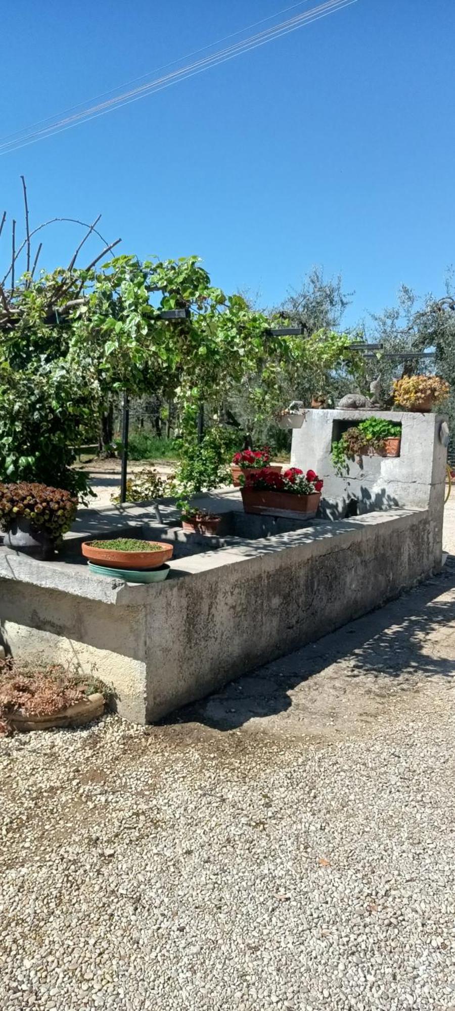 Colle Perazzoni Daire Fiano Romano Dış mekan fotoğraf