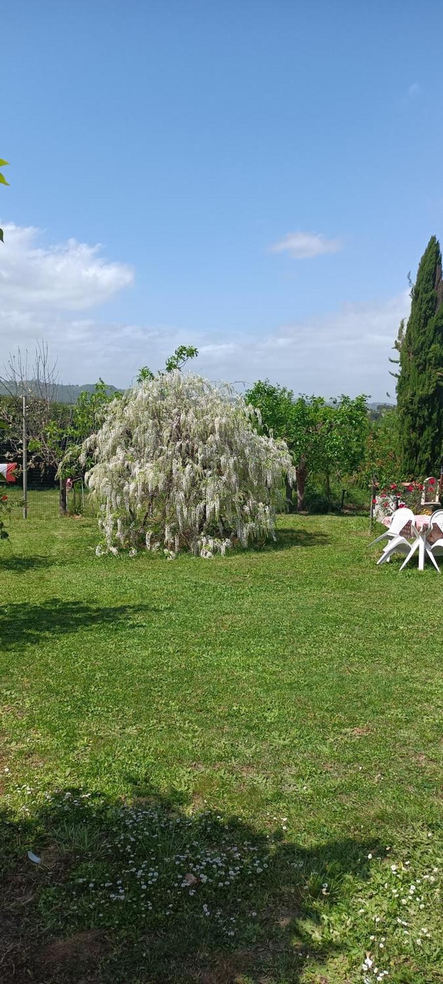 Colle Perazzoni Daire Fiano Romano Dış mekan fotoğraf