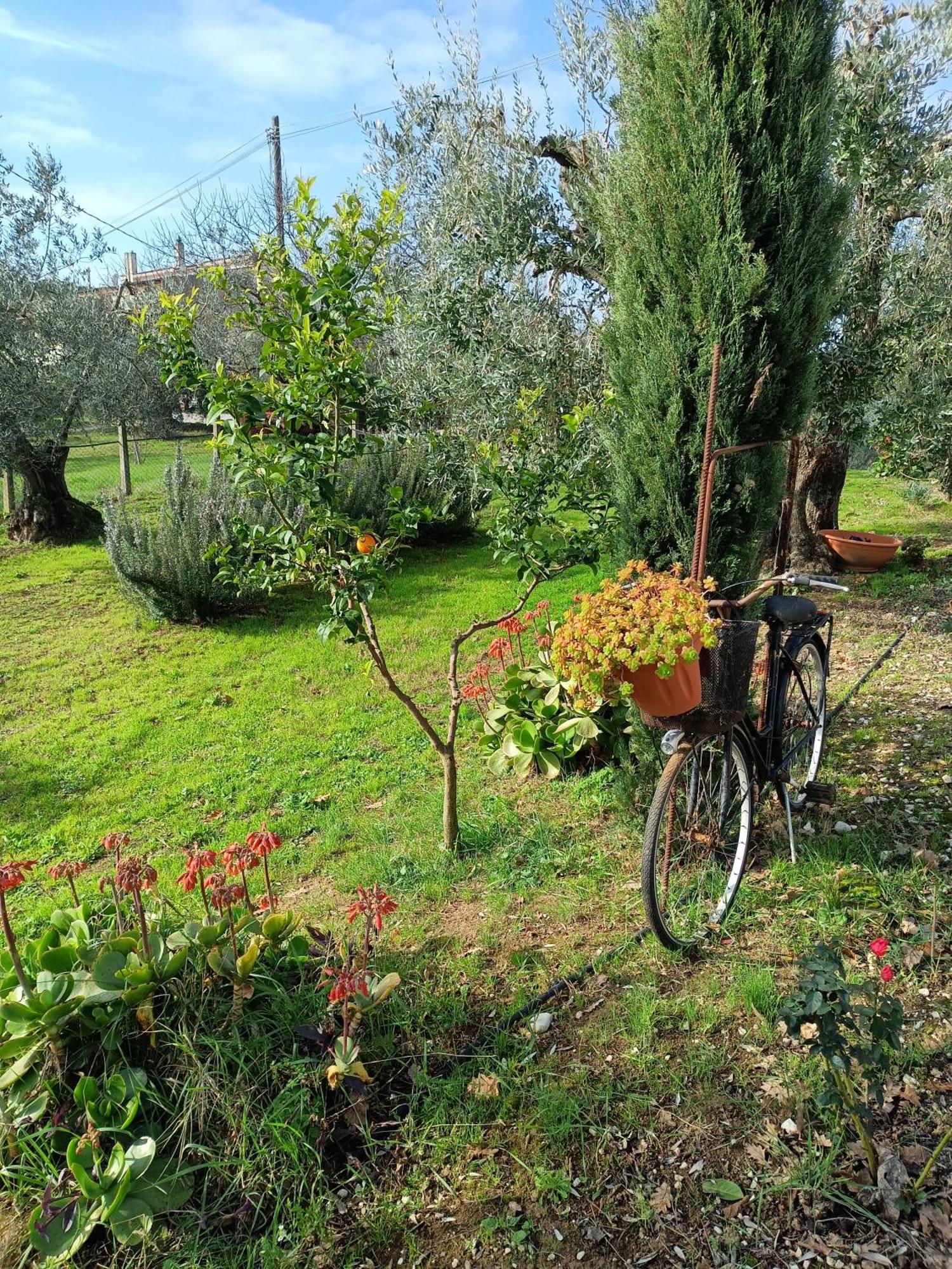 Colle Perazzoni Daire Fiano Romano Oda fotoğraf